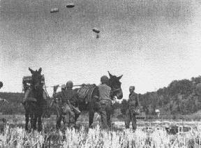 Air Drop in the Jungle